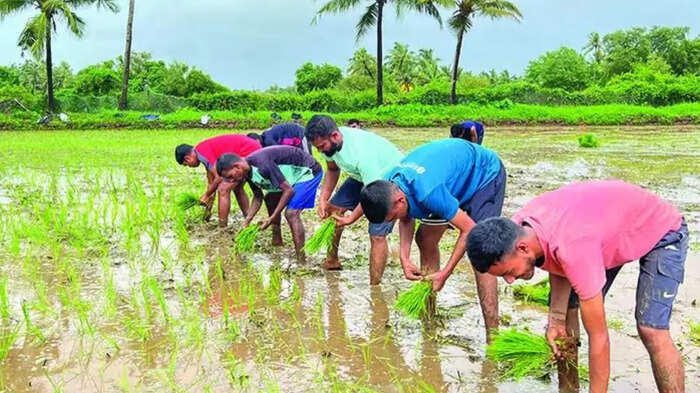 खेती करने के लिए लेना चाहते हैं लोन, तो पहले जान लें ये बात, RBI ने लागू कर दिए ये नए नियम