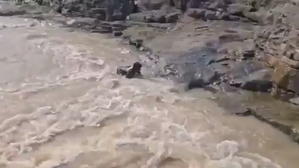 MP के सिवनी में चप्पल निकालने के चक्कर में चली गई युवक की जान